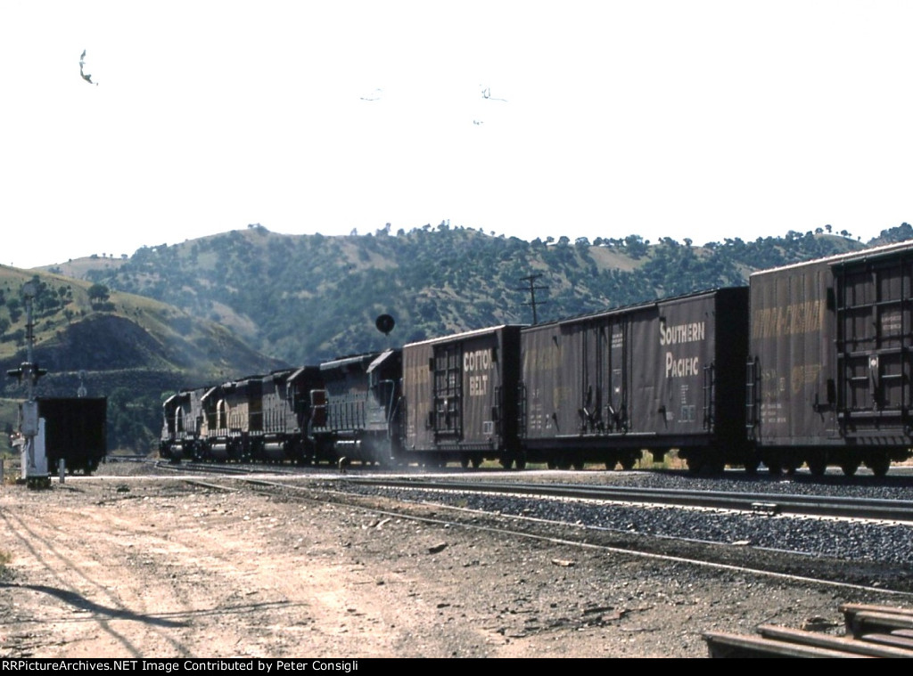 Tehachapi Loop - Merch Train